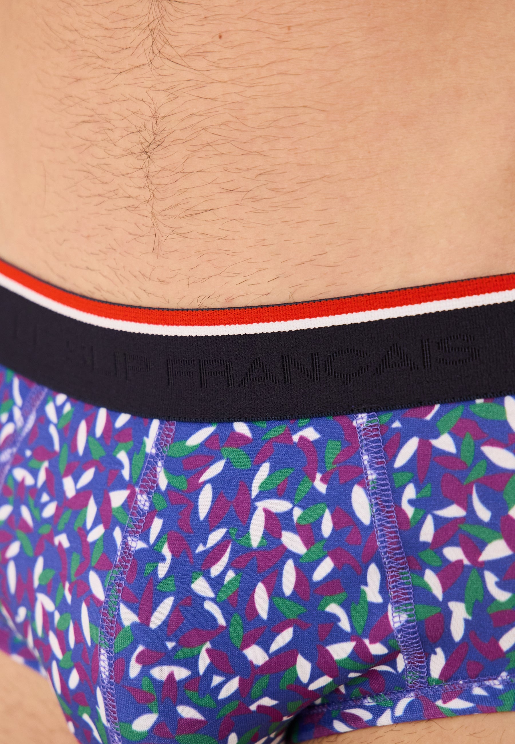 Cotton briefs - Terrible Gavotte Purple