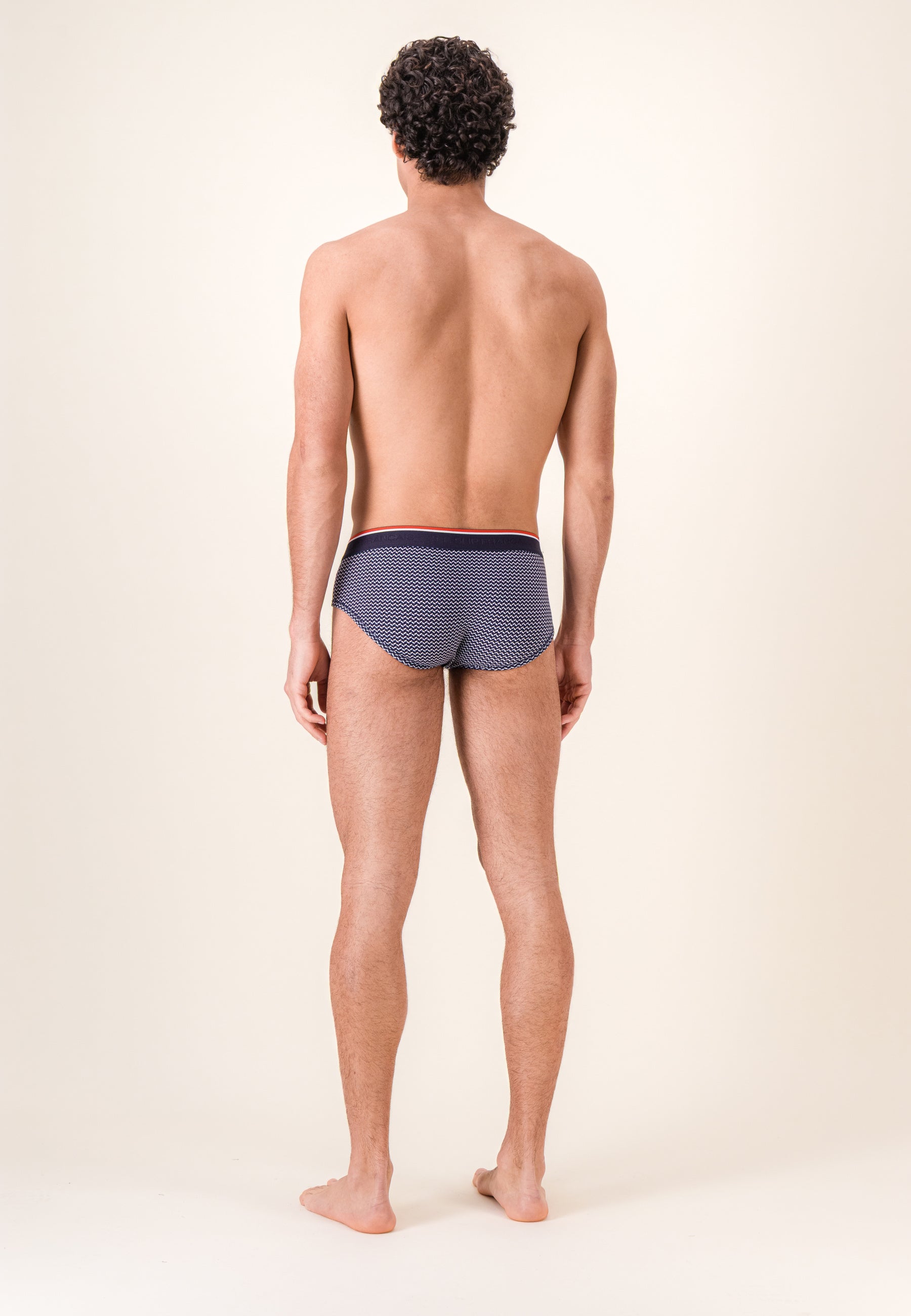 Blue striped cotton briefs - Terrible Chevron