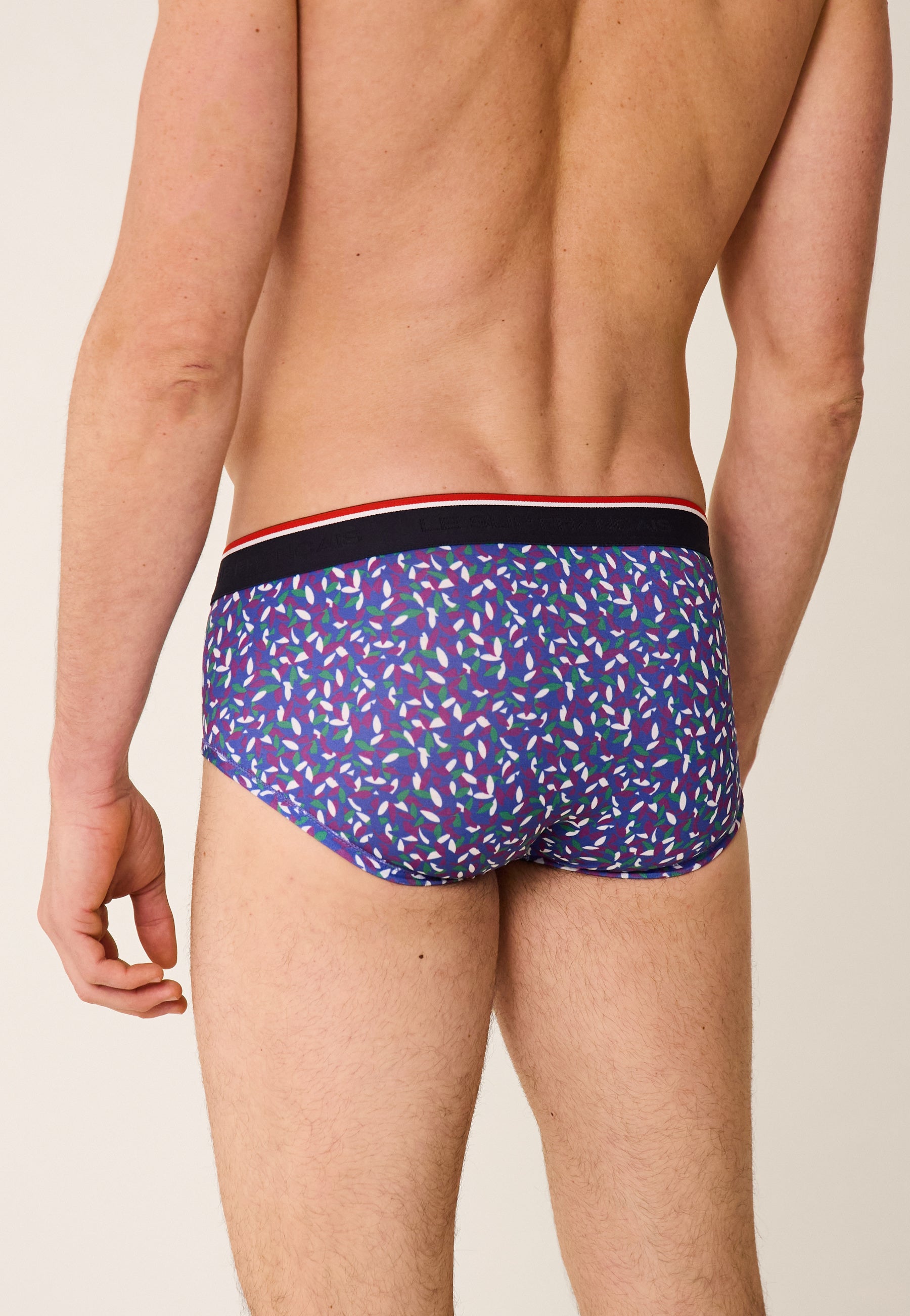 Pack of 2 cotton briefs - Dazzling Gavotte Purple briefs