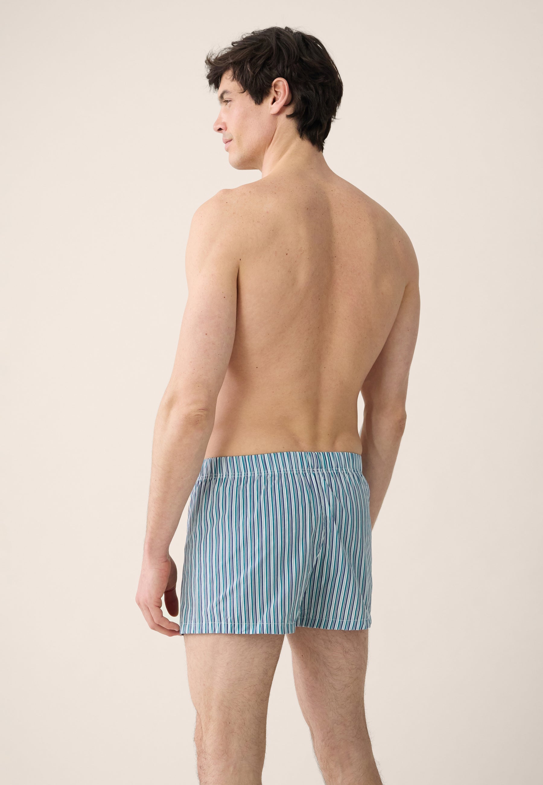 Pack of 2 cotton briefs - Topaz Chambray Striped Briefs