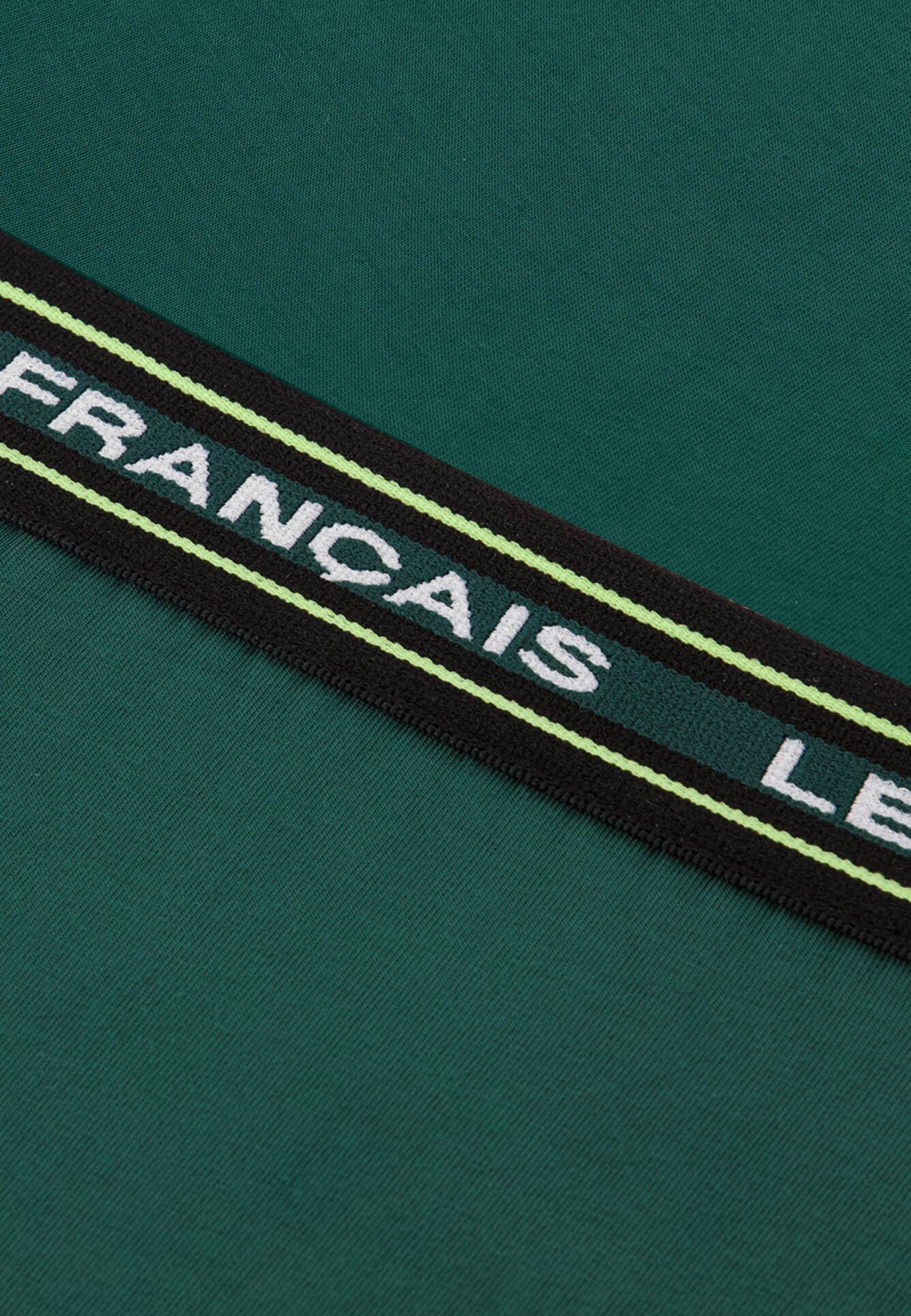 Slip vert en coton - Intrépide Vert Forêt