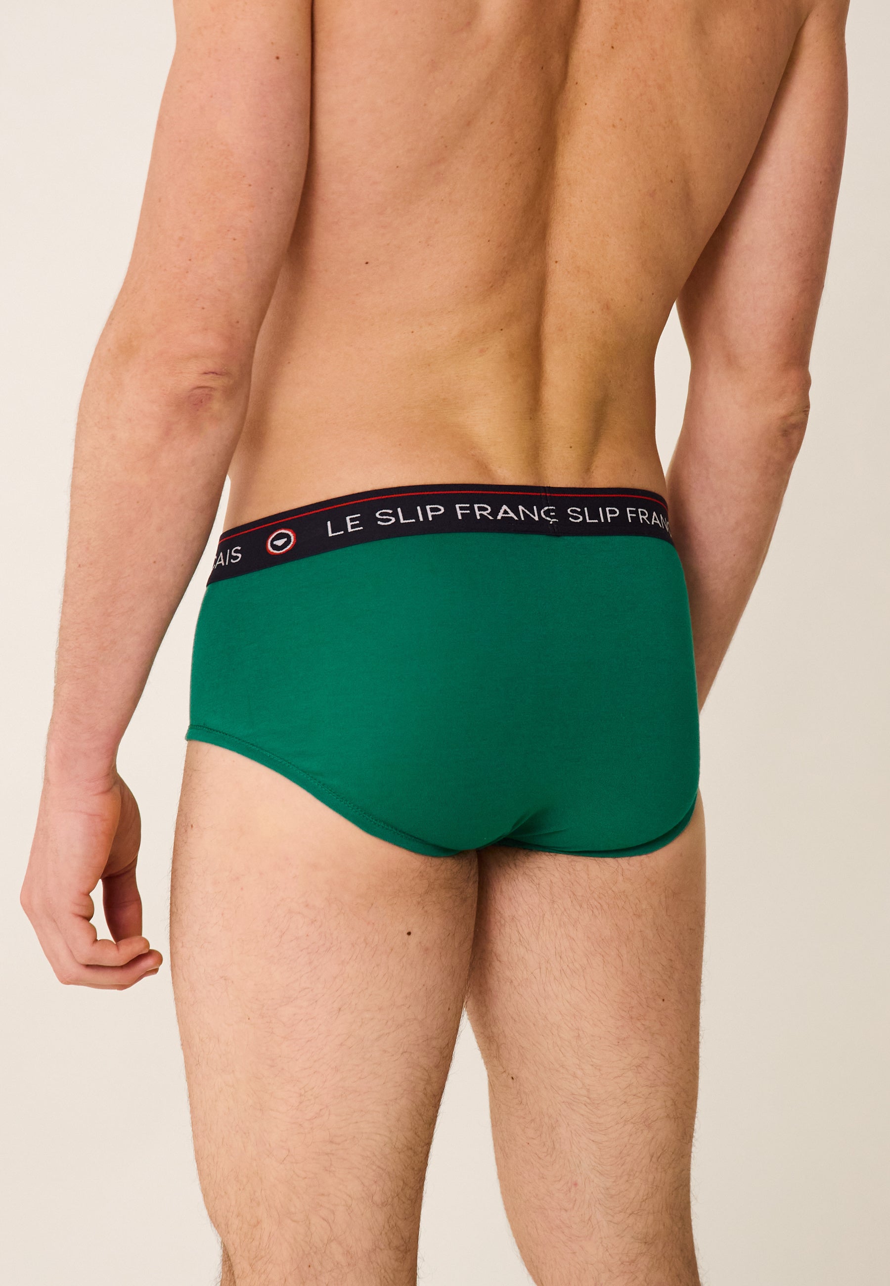 Cotton briefs - Intrepid Emerald