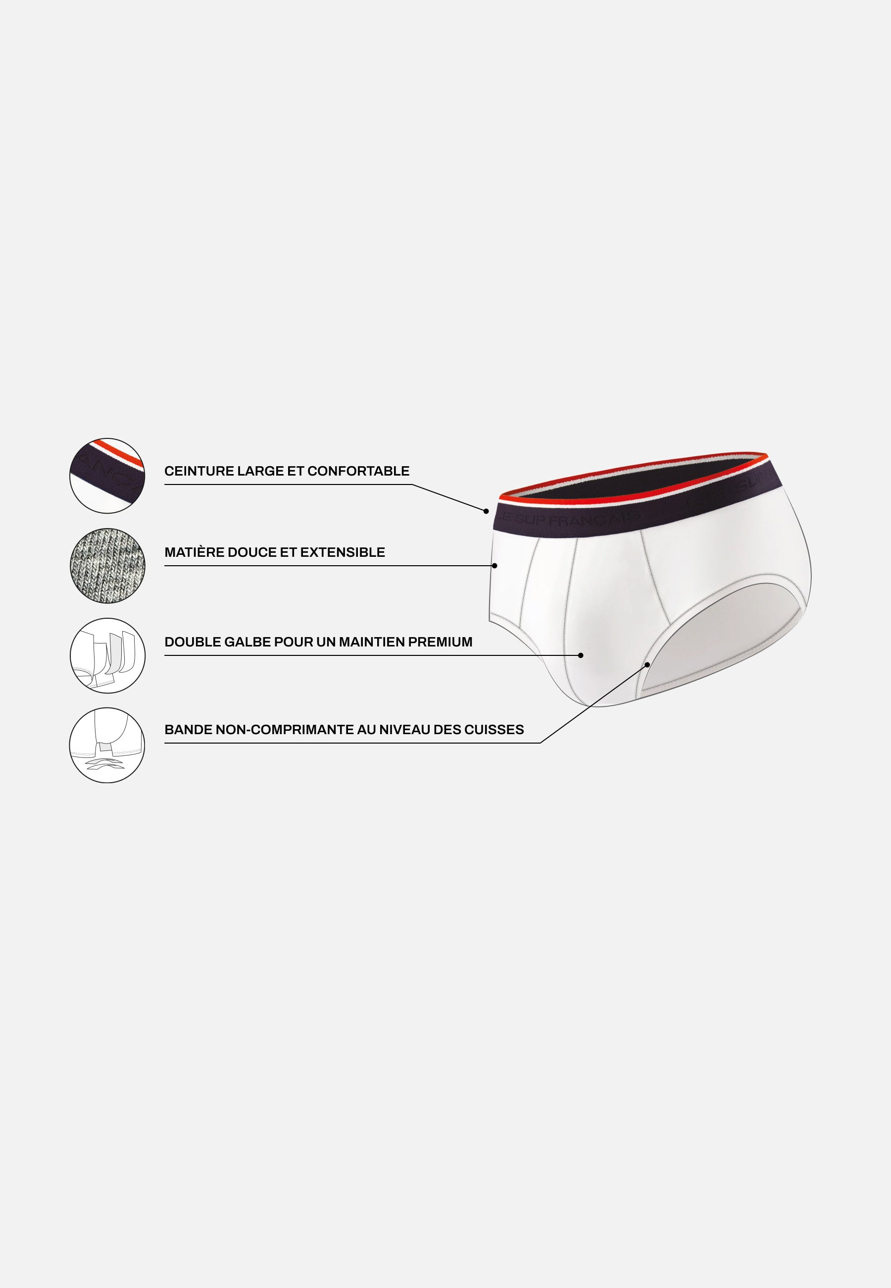 Cotton briefs - Terrible Gavotte Purple