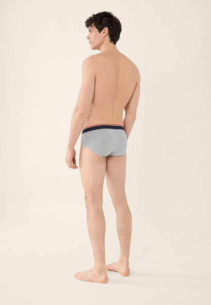 Slip gris en coton avec cocarde - Terrible Gris Chine