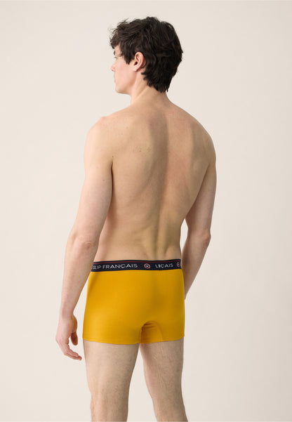 Lot de 2 boxers en coton - Boxers Moutarde Gavotte Vert Sapin