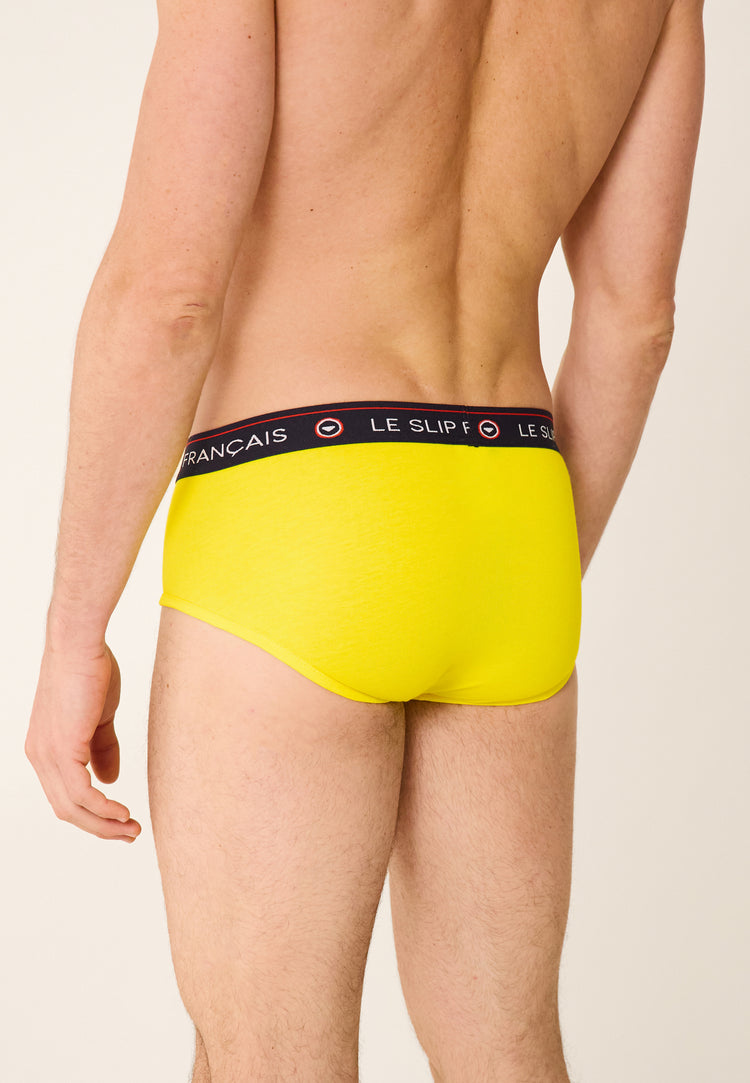 Intrepid Sunflower - Le Slip Français - 3