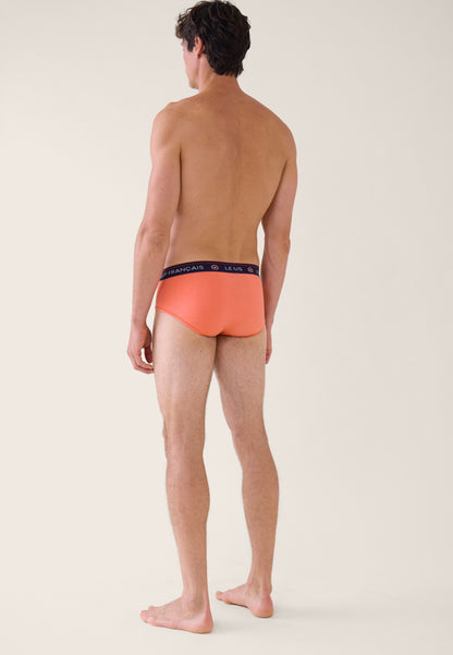 Lot de 3 slips en coton - Slips Intrépide Rose Pêche Léopard Marine