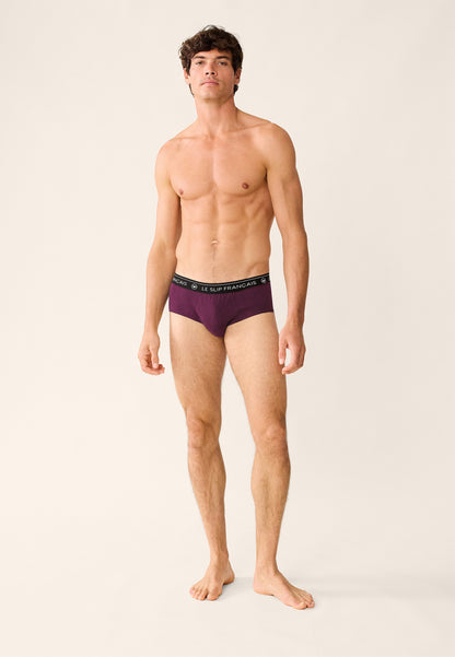 Lot de 2 slips en coton - Slips Prune Hibiscus Prune