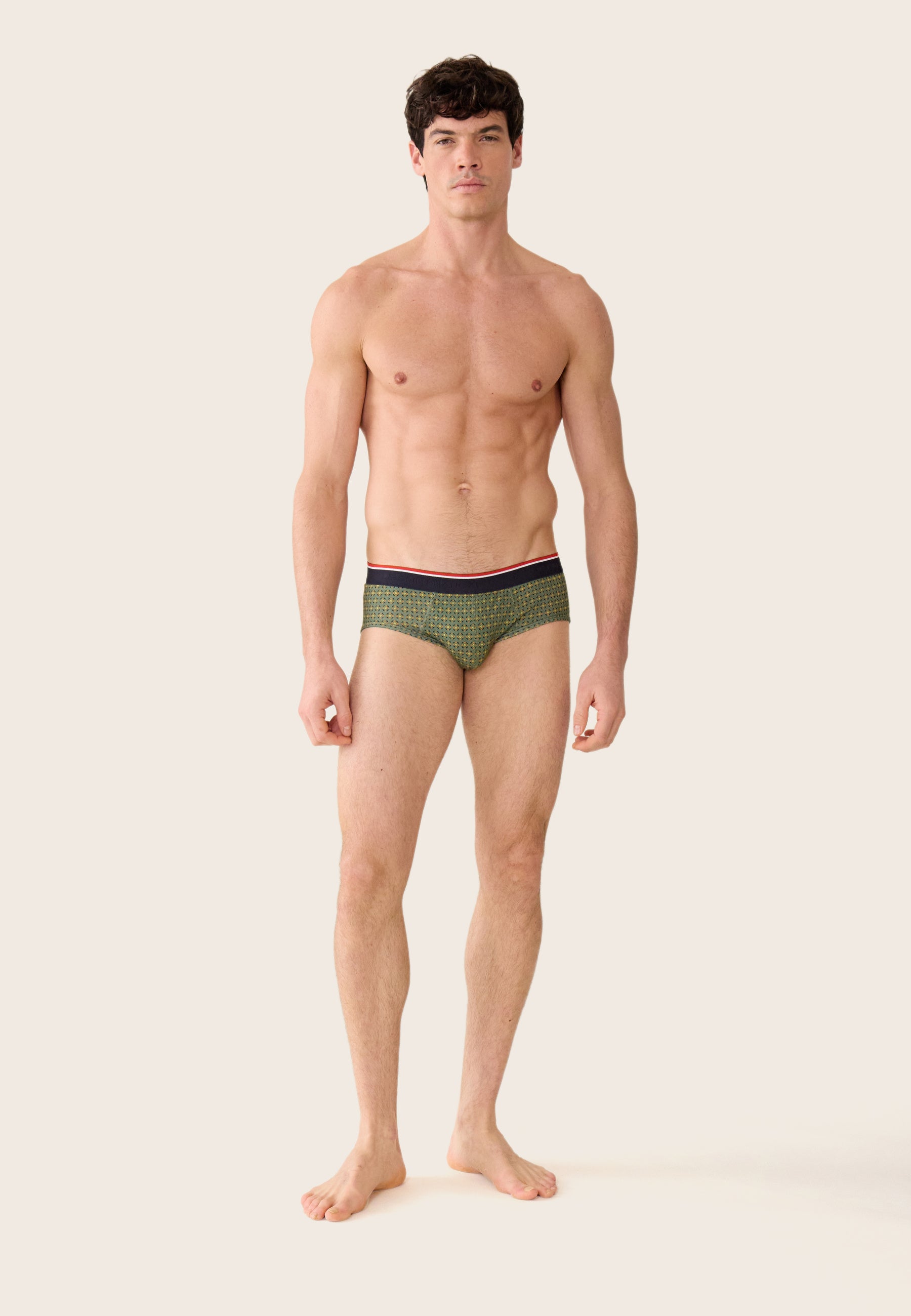 Green cotton briefs with ornamental pattern - Terrible Veronese Ornament