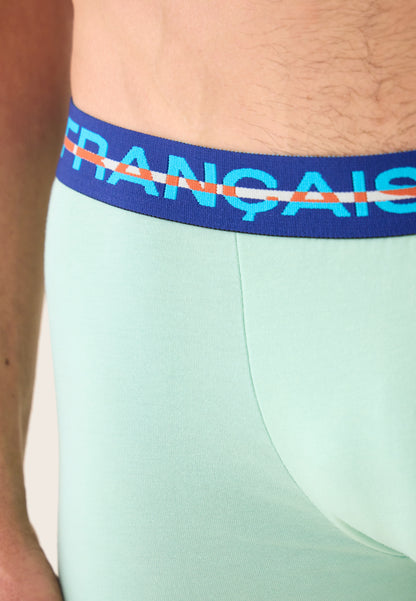 Green cotton boxer shorts - Redoutable Azure Green