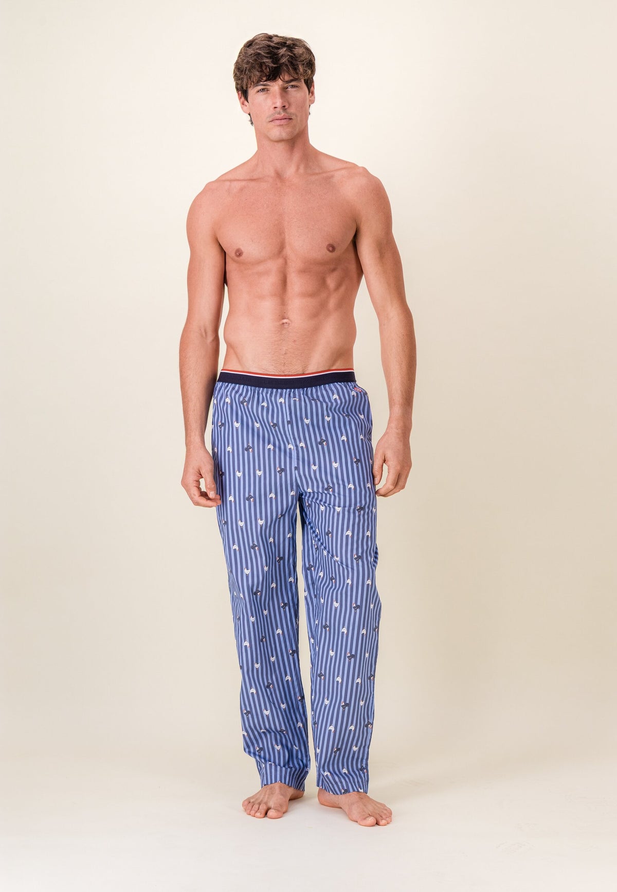 Bas de pyjama long à motif rayure coq bleu acier en coton - Bastien Rayure Coq Bleu Acier