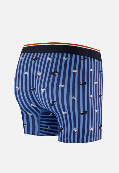 Boxer long à motif rayure coq bleu acier en coton - Michel Rayure Coq Bleu Acier
