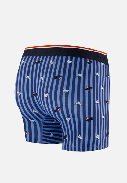 Boxer long à motif rayure coq bleu acier en coton - Michel Rayure Coq Bleu Acier