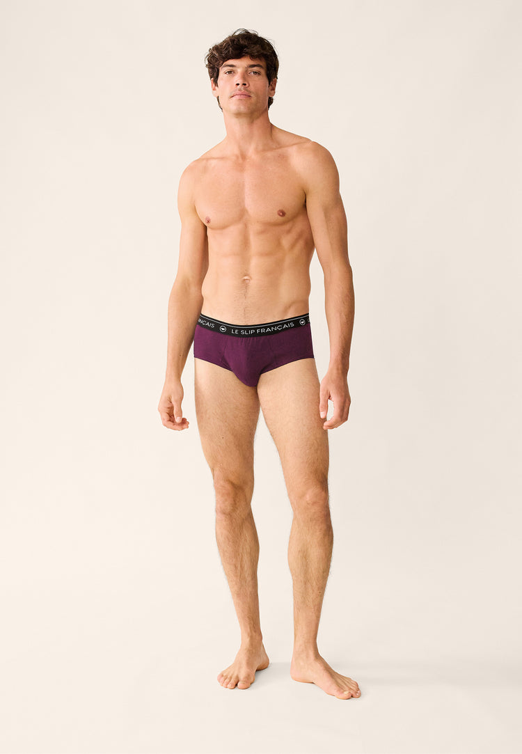 Lot de 7 slips en coton - Slips Prune Fuchsia Blanc Noir Gris Chiné Fléchette Fuchsia Gavotte Prune - Le Slip Français - 3
