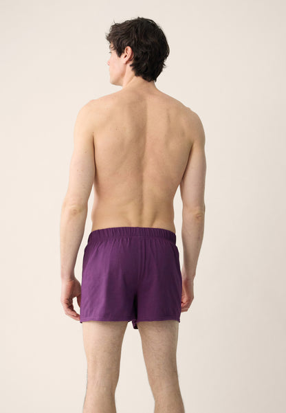 Pack of 2 cotton briefs - Plum Navy briefs