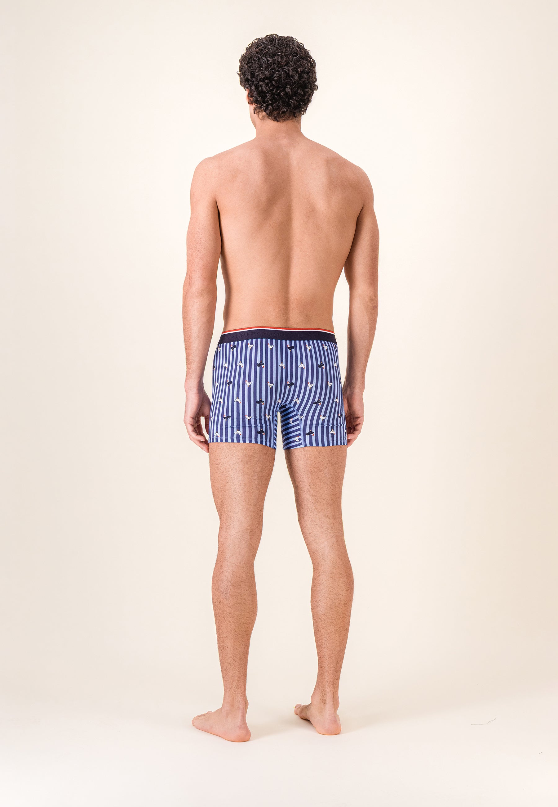 Boxer long à motif rayure coq bleu acier en coton - Michel Rayure Coq Bleu Acier