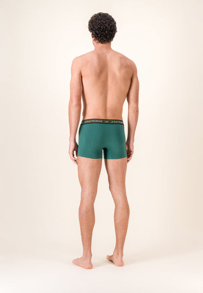 Lot de 3 boxers en coton - Boxers Vert Forêt Jaune Anis Vert Sauge
