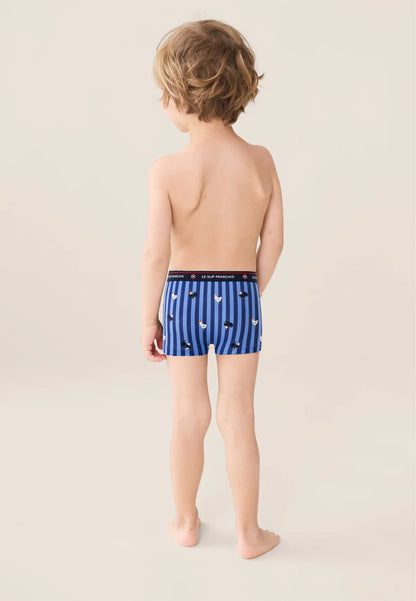 Boxer enfant à motif rayure coq bleu acier en coton - Petit Joseph Rayure Coq Bleu Acier