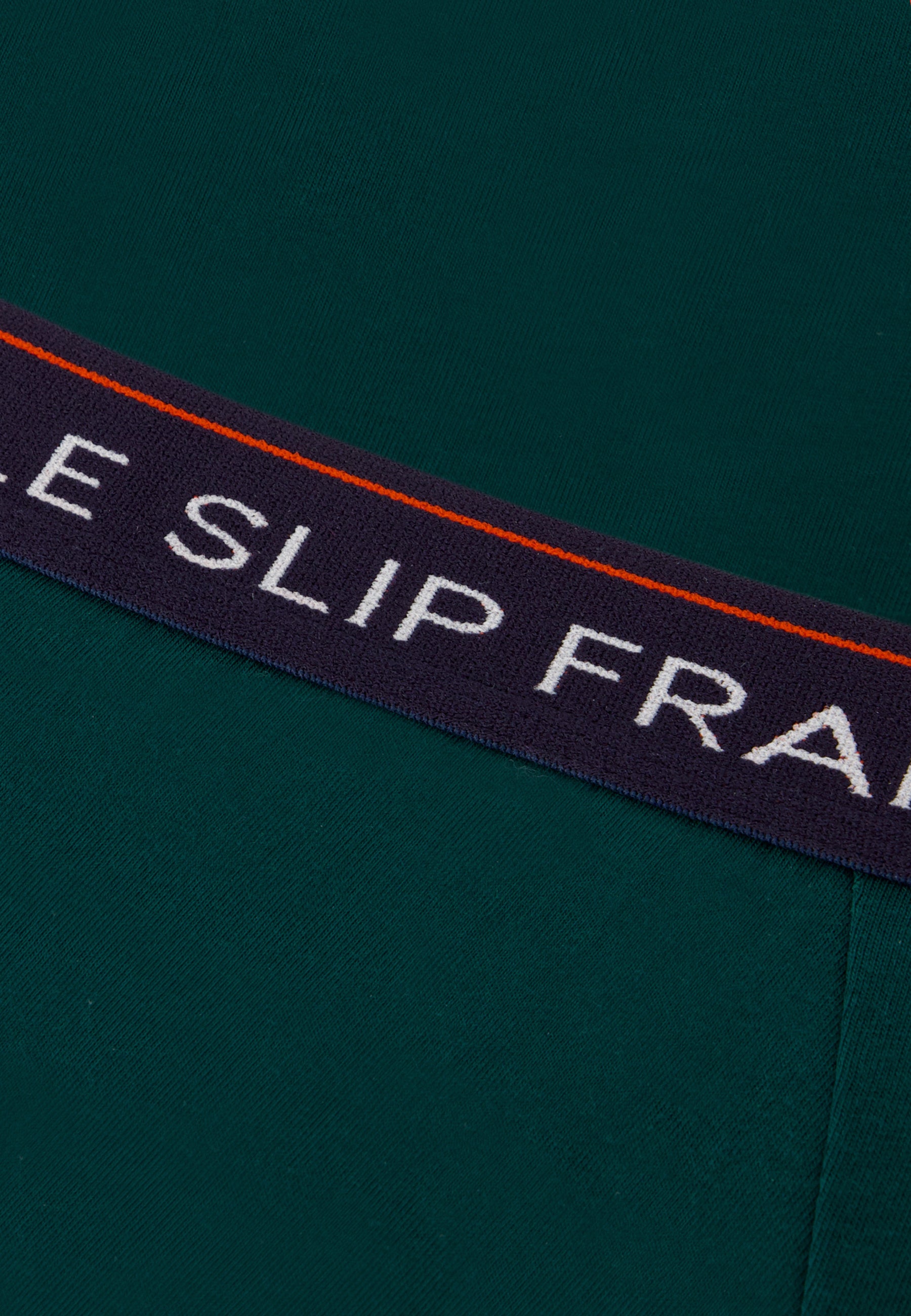 Slip vert sapin en coton - Intrepide Vert Sapin