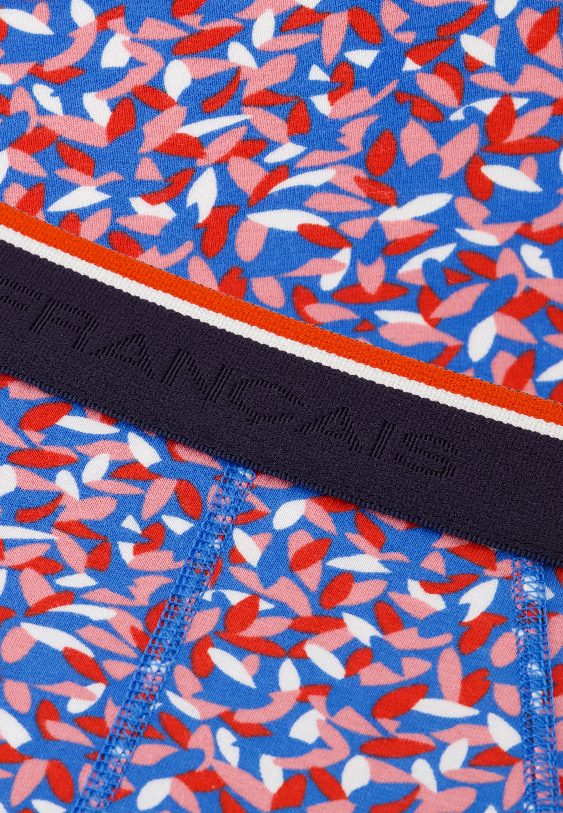 Slip en coton - Terrible Gavotte Bleu Fluo